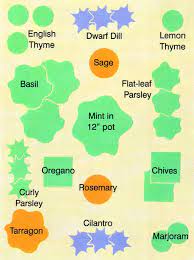 4 Simple Garden Designs To Grow Kitchen Herbs Mother Earth News
