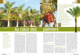 Index Of Magazine Mtq N40 Planche