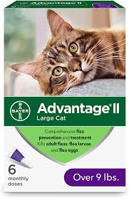 If you have given human cold medicine to your cat, you should watch out for poisoning symptoms such as vomiting, diarrhea, seizures, pale gums, confusion or sudden collapse. Amazon Com Advantage Ii 6 Dose Large Cat Flea Prevention Flea Prevention For Cats Over 9 Pounds Pet Flea Drops Pet Supplies