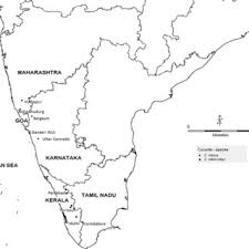 Image result for Cucumis aetheocarpus