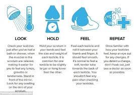 Windsor Village & Oakden Medical Centres - How To Perform A Testicular Self  Examination. November Is Men's Health Month, So It Is Time To Check And  Guard Your Gonads! From Puberty On