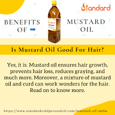 Find Out How Mustard Oil Is Good For Hair Mustard Oil Mustard Mustard Oil For Hair
