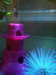 Do You Have Any Homemade Objects For Your Betta Betta Fish And Betta Fish Care Diy Betta Toys Betta Fish Betta Fish Toys