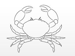 How to draw crabs in one continuous stroke? How To Draw A Crab 10 Steps With Pictures Wikihow