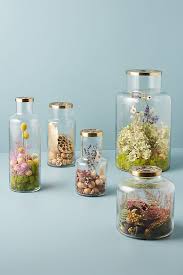 All seasons has a passionate team that sources and designs great innovative products that are of the highest quality and are of great value for money. Floral Fragrance Jar Floral Fragrance Rosy Rings Seasonal Scents