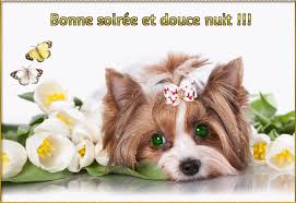 Bonne soirée 2**Variations - Bienvenue chez Sellena