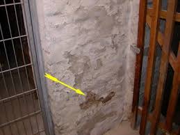 Keller abdichten, innen und außen, ist sehr wichtig. Keller Abdichten Kosten Abdichtung Von Aussen Oder Von Innen
