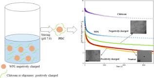 Search and download thousands of swedish university dissertations. Effect Of Chitosan Structure Modification And Complexation To Whey Protein Isolate On Oil Water Interface Stabilization Sciencedirect