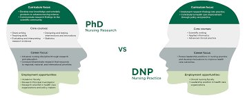 The program was ranked #26 among the best nursing schools for a doctor of nursing practice degree by u.s. Phd Program Usf Health