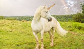 You already know you share a lot of qualities with mythical, magical unicorns, but do you know what type of unicorn you are? Ten Things You Never Knew About Unicorns Express Co Uk