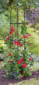 Let's see how to build trellis at home in a low budget and efficient way.diy trellischoose your sizesupplies used. Essex Round Trellis Trellis Plants Garden Obelisk Pot Trellis