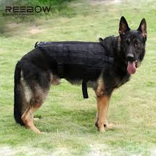 Army Tactical Dog Vests Outdoor Military K9 Dog Clothes Load Bearing Harness Swat Tactical Dog Training Molle Vest Harness Vest Shorts Vest Bucklevest Kid Aliexpress