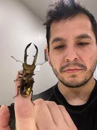 Shiny Beetle Appreciation and Care