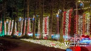 Holiday Lights in Williams Park