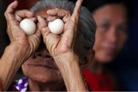 Agnes Burger（@anufee） • Threads，暢所欲言