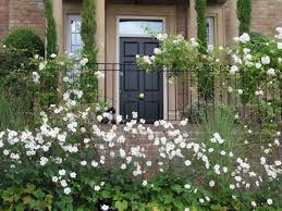 Monmouthshire Gardens Designed By Cheryl Cummings Garden Design Garden Design Perennial Plants Plants