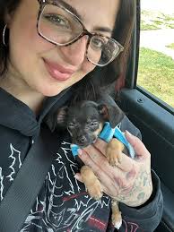 Tips for first time chihuahua owners?