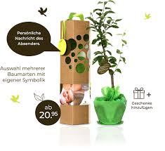 Weitere sprüche zur hochzeit eintragen und an sprueche.de mitarbeiten. Schenkeinbaumchen Geschenkbaume Fur Wichtigen Momente Im Leben