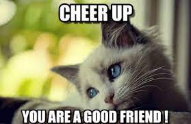 If you know your friend's sense of humor pretty well, consider cheering him or her up by sending a daily joke or funny story via text. Top 40 Cheer Up Memes Jokes Gif S To Lift Your Mood