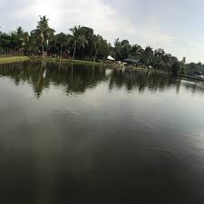 The malay for limestone is batu kapur. Kolam Batu Kapur 126 Visitors