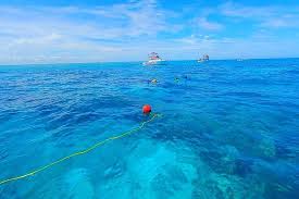 John Pennekamp Coral Reef State Park (2025)