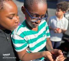 20 top What Are The Different Stages of A Butterflys Life Cycle ideas in  2024