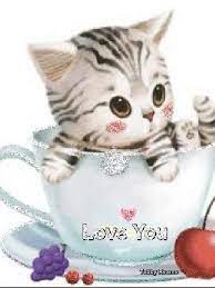 Pin By Sylvia Davis On Love Morning Cat Good Morning Cat Good Morning
