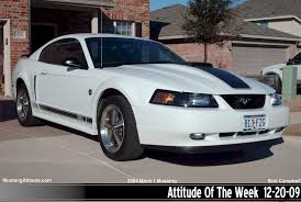 Image result for Oxford White 2004 Escape