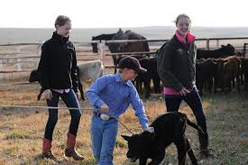 In 2011, the food network aired the first episode of the pioneer woman, starring ree now, a small town near drummond's family's ranch is reaping the benefits of the star's success. Ree Drummond Tv S Pioneer Woman Starts New Season With Tornado Relief Wsj