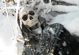 Frozen Skeleton Visual Representation Art Skull