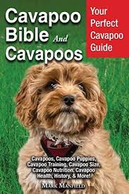 Cockapoo of excellence is located in wisconsin with nationwide shipping or pick up available. Jeil Download Cavapoo Bible And Cavapoos Your Perfect Cavapoo Guide Cavapoos Cavapoo Puppies Cavapoo Training Cavapoo Size Cavapoo Nutrition Cavapoo Health History More Epub Pdf Ebook Iw8entukr