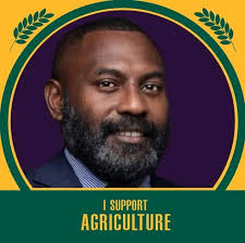 Read this conman's story