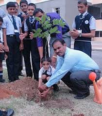 Tree plantation pragraph, english study notes. Tree Planting Wikipedia