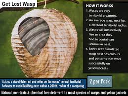 Tiny newly built wasps nests with just a few egg cells can easily and safely be. How To Get Rid Of Wasps How To Prevent Kills Wasps