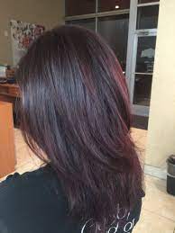 Deep Violet Brown Hair By Ash Marie In Normal Illinois See More At Ashmariehair On Instagram Hair Color Chocolate Dark Brunette Hair Hair Styles