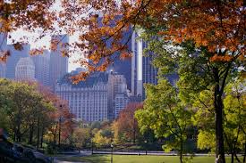 Cityscape Hd New York Wallpaper New York Tourist Attractions Central Park
