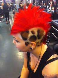 hair raising colors rainbow mohawk large msg 134194592841 jpg 500 670 heisse frisuren haar styling alternative frisuren
