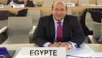 الغذاء العالمى يختار مصر نموذجاً