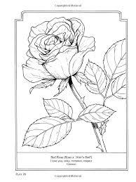 5 out of 5 stars (304) $ 2.53. 92 Coloring Pages Ideas In 2021 Coloring Pages Coloring Books Colouring Pages