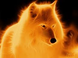 Image result for Red fire wolf