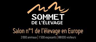Außerdem konnten wir feststellen, dass diverse arbeiten mit hilfe von eseln und kaltis erledigt werden. Sommet De L Elevage De Clermont Ferrand Les 4 5 Et 6 Octobre 2017