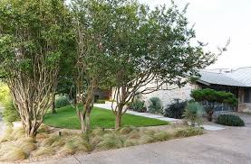 Portfolio David Wilson Garden Design Residential Landscape Design Landscape Design Garden Design Garden Inspiration