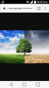 Clima Nuevo Casas Grandes Chih En Vivo Posts Facebook
