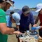 Oyster Farm Tour