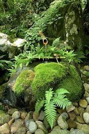 Mousse Fougeres Galets Et Roches Jardin Asiatique Jardin Japonais