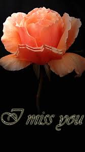 We did not find results for: Woman Gif Animacao Digital Community Google Miss You Images Miss You Mom Beautiful Gif