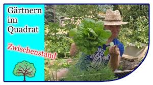 Die folgenden aufgaben können auch mehrere richtige antworten enthalten! Gartnern Im Quadrat Teil 1 Die Ersten Kulturen Ziehen Ein Square Foot Gardening Youtube