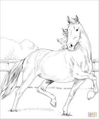 Here's a set of free printable alphabet letter images for you to download and print. Free Printable Coloring Pages Pertaining To Free Download Printable Westphalian Horse Coloring Horse Coloring Pages Animal Coloring Pages Horse Coloring Books