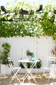 10 diy backyard landscaping ideas for spring. How To Grow Grapes In Your Backyard American Farmhouse Lifestyle