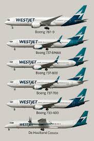 Image result for Medium Brown 2018 Fleet